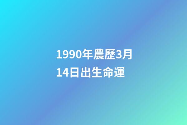 1990年農歷3月14日出生命運 (1990年3月14日陽歷)